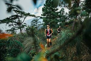 BIB: 
                            <button type="button" onclick="openModal(25258312)" class="btn btn-primary btn-sm float-right btn-popup" data-toggle="modal" data-target=".modal-high-quality">
                        <i class="fas fa-shopping-cart"></i> Add to Cart
                    </button>
                                            <button type="button" onclick="isThisMe(25258312, true)" class="btn btn-success btn-sm float-right btn-popup btn-isme hidden" data-toggle="tooltip" data-placement="bottom" title="นี่คือรูปของคุณใช่ไหม คลิกที่นี่เพื่อเอาเข้าอัลบั้ม">
                        <i class="fas fa-plus"></i> Add to album
                    </button>
                    <button type="button" onclick="isThisMe(25258312, false)" class="btn btn-warning btn-sm float-right btn-popup btn-isnotme hidden">
                        <i class="fas fa-ban"></i> Remove from album
                    </button>